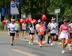 关于马拉松邀请赛掀起高潮，东海雷豹队淘汰对手齐鲁雄狮队，战至最后一刻——中场绞杀压制对手的信息