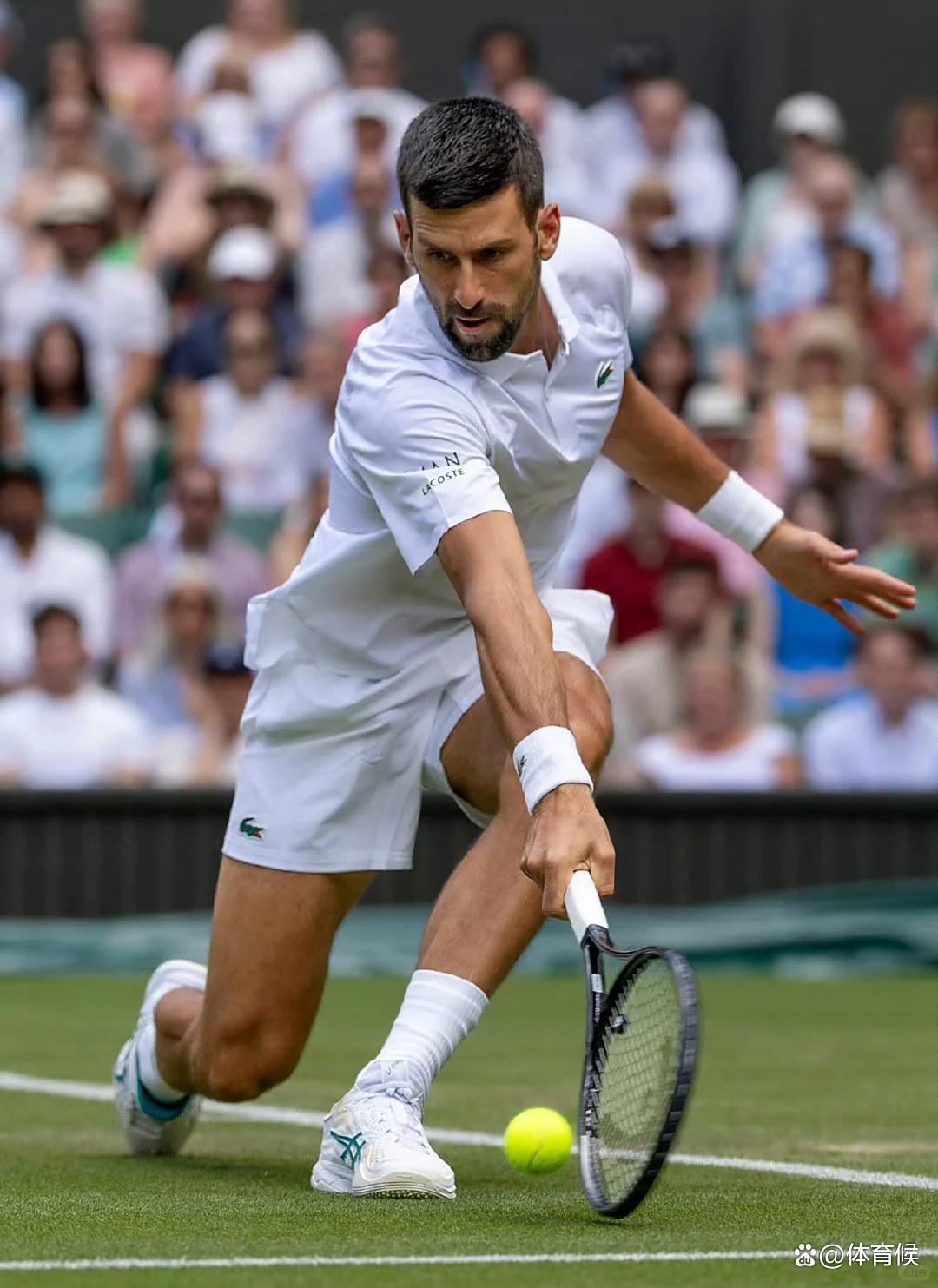 德约科维奇遭遇十连败，拜仁教练面临压力！的简单介绍